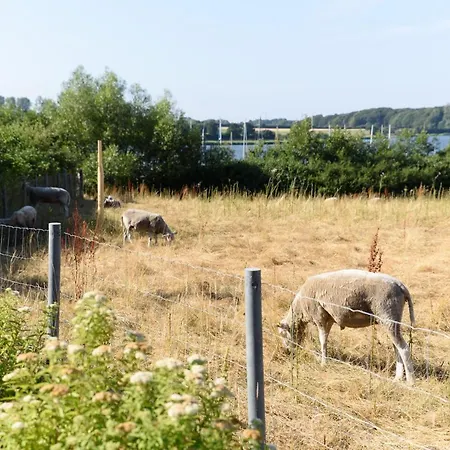 Luxus-ferienhaus-schliehuus Lägenhet Kosel